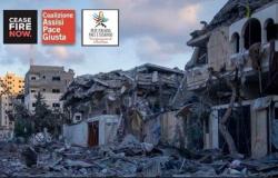 Alto el fuego: la red de paz y desarme de Avellino se moviliza