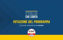 Programa de votación para las elecciones europeas de 2024 – Movimiento 5 Estrellas