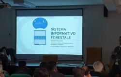 Reunión sobre el sistema de información forestal de la Región de Basílicata