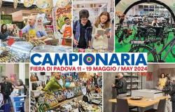 Feria de Padua: la 103ª edición arranca el 11 de mayo