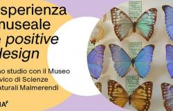 Experiencia museística y diseño positivo: un estudio con el Museo Cívico de Ciencias Naturales Malmerendi de Faenza