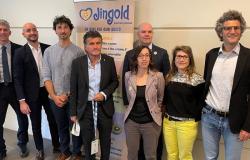 Jingold: análisis en profundidad de la cadena de suministro del kiwi amarillo en Emilia-Romaña
