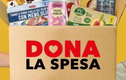 Sábado 10 de mayo: recogida de compras solidarias / Pordenone / Semanario de la Diócesis de Concordia-Pordenone