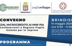 BRINDISI. Jornada sobre “Microcrédito y Mini PIA”. Confesercenti y la región de Apulia juntos por las empresas.