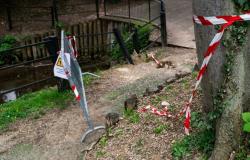 El Ayuntamiento obligado a pagar 10.000 euros para reparar los daños