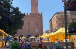 Tarde de Cremona – Campagna Amica el domingo en Piazza Stradivari. Una jornada llena de acontecimientos y protagonistas, con el mercado de agricultores, la comida callejera campesina y el Día de la Madre