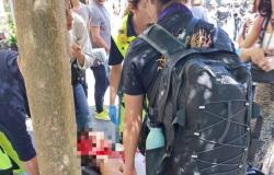 Roma, enfrentamientos entre la policía y los manifestantes que querían llegar a los Estados Generales de Nacimiento: 5 heridos, entre ellos una niña golpeada en la cabeza