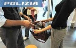 Jefatura de policía de Vicenza – robo en supermercado, autor identificado – Jefatura de policía de Vicenza
