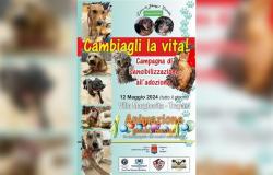 Trapani, iniciativa por los derechos de los animales mañana en Villa Margherita • Portada