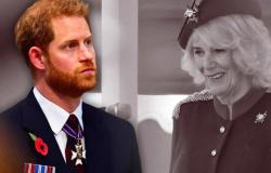Harry regresa a Inglaterra, la verdadera reacción de la reina Camilla congela a todos