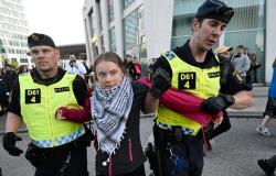 Greta Thunberg arrestada durante la final de Eurovisión por protestas contra Israel