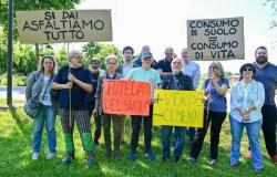 Sentada de protesta en Treviso contra el plan de desarrollo. Chicos de “Viernes para el futuro” y residentes en las barricadas.