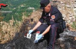 Los presuntos autores del incendio han sido identificados y denunciados por los Carabinieri de Protección Forestal de Parques
