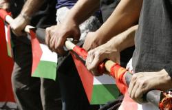 Feria del Libro de Turín: enfrentamientos con partidarios de Palestina, delegación autorizada a entrar