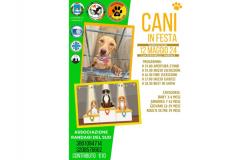 Marsala, mañana 12 de mayo “Perros de fiesta”. En la zona de Sutana, la fiesta de los callejeros que buscan un hogar – Il Giornale di Pantelleria
