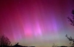 Espectaculares fotografías de las auroras boreales, que han vuelto a iluminar el cielo de Piacenza