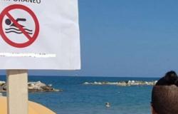 Mar, aquí están las zonas de la costa donde está prohibido nadar – Pescara