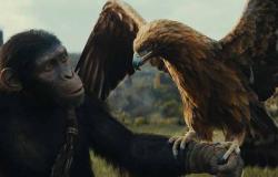 El reino del planeta de los simios: trama, reparto, reseña