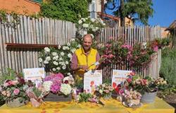 Coldiretti Puglia: “Las flores ganan en la elección de regalos para el Día de la Madre”