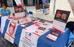 En Terni, gran participación en la Jornada contra el cáncer bucal 2024: 265 personas visitaron