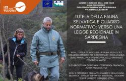 LIFE Safe for Vultures, una conferencia sobre la vida silvestre en Sassari