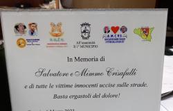 Canicatti Web News – El banco blanco que simboliza a las víctimas de la carretera resultó dañado en Catania