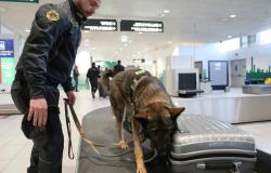 Una pistola en el equipaje de mano, el aeropuerto de Bolonia enloquecido durante más de una hora. Pero la alarma resulta infundada