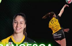 Volley Offanengo refuerza su parque de atacantes con Francesca Pinetti – Liga Femenina de Voleibol Serie A