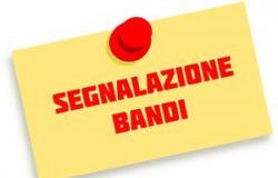Convocatoria para la designación y nombramiento de representantes municipales – Municipio de Cuneo