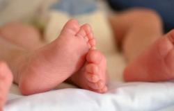 Istat: nuevo récord de natalidad en Trentino, la edad media sigue aumentando. Los extranjeros disminuyen – Noticias