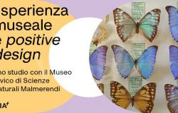 Isia Faenza: experiencia museística y diseño positivo. Un estudio con el Museo Cívico de Ciencias Naturales de Malmerendi