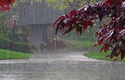 Fuertes lluvias el domingo por la noche, perturbaciones limitadas en Moncalieri – Torino Oggi