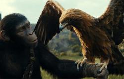 Taquilla italiana: El reino del planeta de los simios gana el fin de semana, bueno El secreto del Liberato | Cine