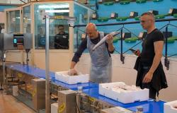 Lonja de pescado de Corigliano Rossano, la subasta se vuelve electrónica