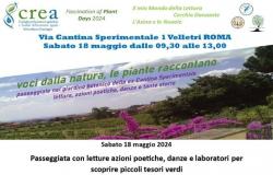 En CREA Viticoltura Enología Velletri “Día de la Fascinación por las Plantas 2024”