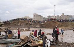 Inundación en Kenia, en lugar de construir obras públicas plantan árboles