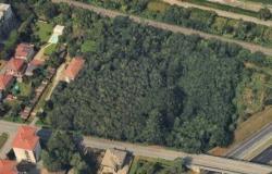 Gallarate, el comité de “defensa de los bosques de via Curtatone” dice no a la nueva escuela