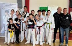 Deporte, música y emociones fuertes en el II Memorial Spinosa taekwondo en Legnano