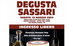 DAQ Olivarios, degustación de aceite de oliva virgen extra y queso Pecorino Romano DOP en Sassari
