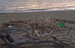 Playa sin residuos’, dos días para limpiar la costa en San Pietro Lametino