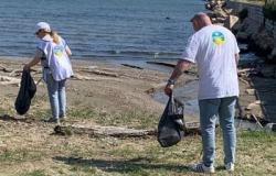 El Camino de la Felicidad retira los residuos abandonados de la carretera costera de Barletta – PugliaLive – Periódico de información en línea