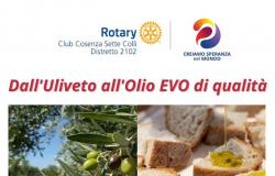 RENDE (CS) – El encuentro público rotario “Del olivar al aceite de oliva virgen extra de calidad”