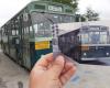 TPL Linea, el conductor que restaura autobuses viejos: nuevo proyecto para Savona