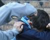 Perugia, una pareja de novios golpea a un niño por dinero: absueltos por un error