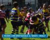 Rugby, gran éxito de participación y público para el torneo “Denti – Reali”