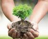 La salud de los árboles, un foro organizado por Legambiente y Bene Comune en Trani