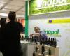 Desafío ganado para Unapol en SOL, el salón del aceite de oliva de Veronafiere