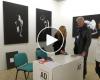 Feria de Arte de Lucca, más de 600 obras expuestas en el Real Collegio: las puertas de la feria de arte están abiertas