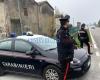 Maxi controles por parte de Rovigo Carabinieri, masacre de permisos de conducir y aluvión de denuncias