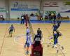 Serie B de voleibol: hoy Caronno en casa por el primer puesto, Saronno en Turín por la seguridad